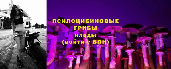 сатива Алексеевка