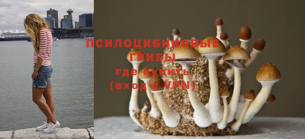дмт Алексин
