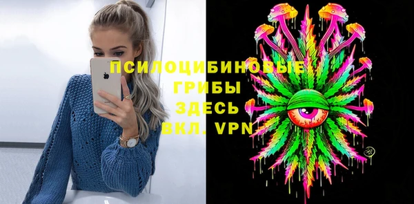дмт Алексин